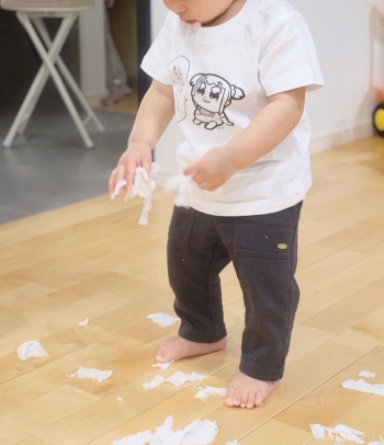 ポプテピピック Tシャツ