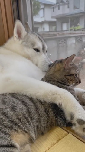 安心したような表情