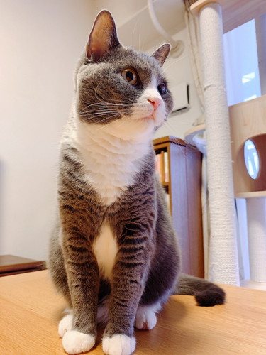 座っているいずみちゃん