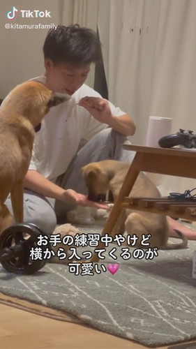 お手の練習