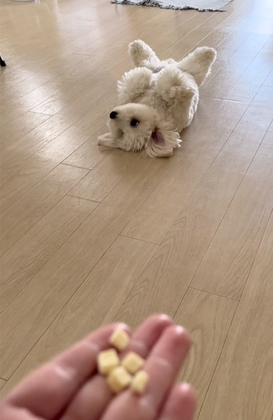 迷っている様子