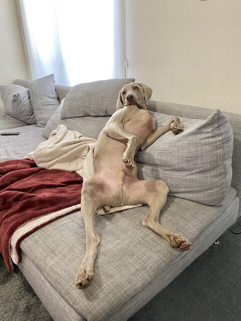 ソファで足ひろげてる