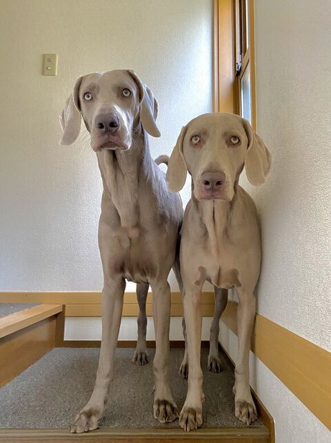 階段にいるふたり