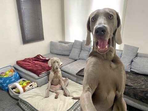 あぐらかいてる子とご機嫌な子