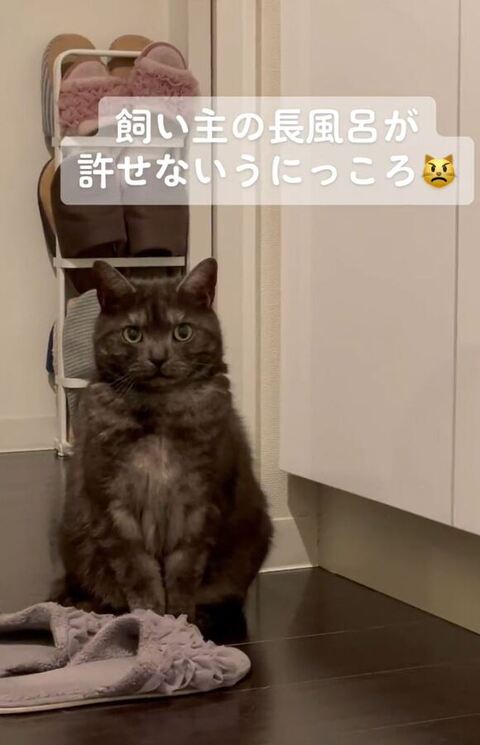 少し右のほう見てる