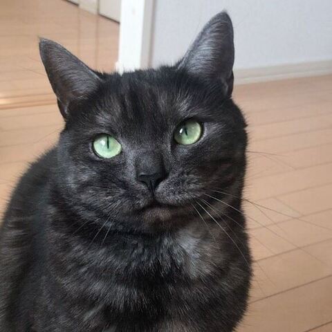 瞳孔細くなってる