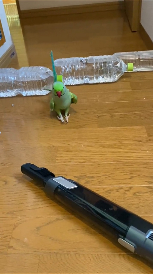 体を起こすユウちゃん