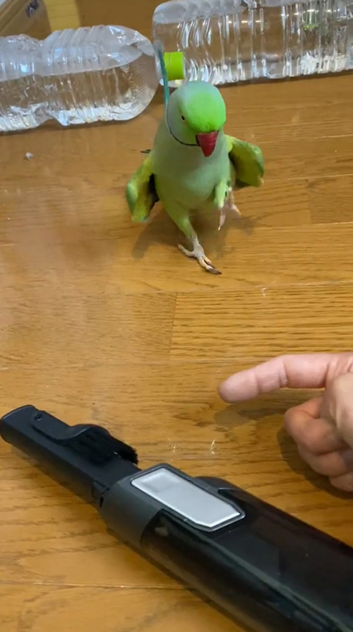 ウォーキングユウちゃん