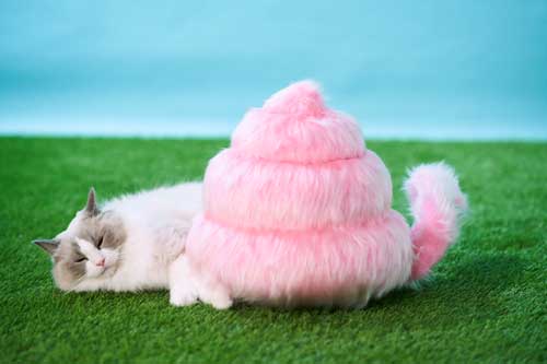 うんこ 生き物 尻尾 うんこ動物 うんこミュージアム