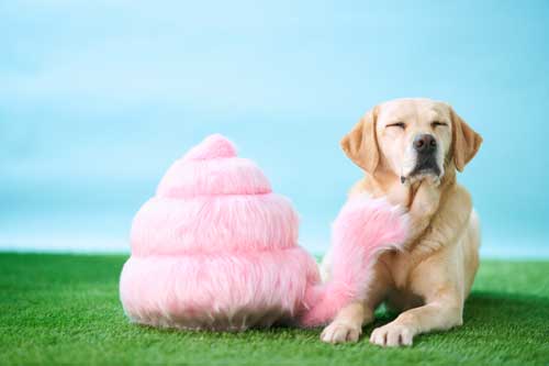 うんこ 生き物 尻尾 うんこ動物 うんこミュージアム