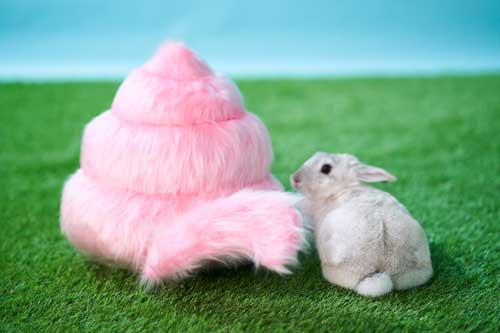 うんこ 生き物 尻尾 うんこ動物 うんこミュージアム