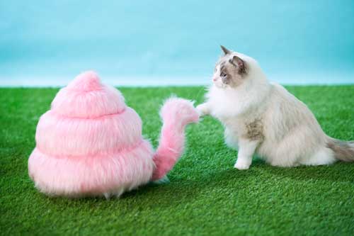 うんこ 生き物 尻尾 うんこ動物 うんこミュージアム