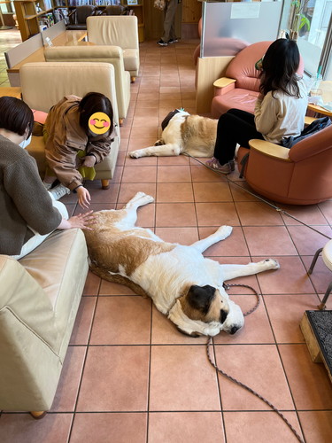 デイジーちゃんとドーンくん