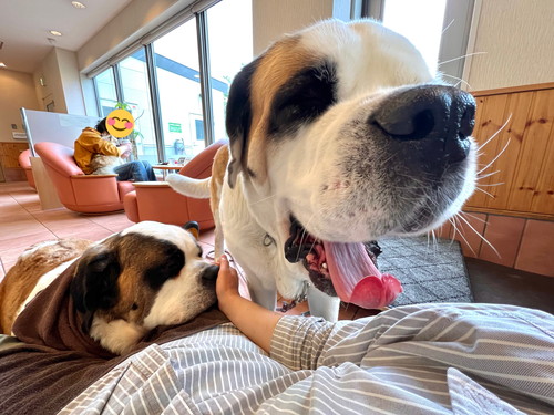 デイジーちゃんとドーンくん