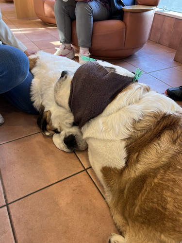 デイジーちゃんとドーンくん