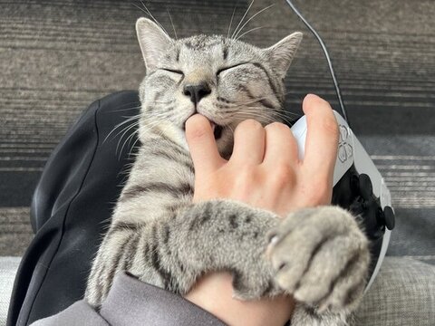 指をしゃぶってる