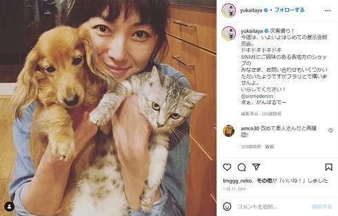 板谷由夏と飼い犬の空、飼い猫のメイ