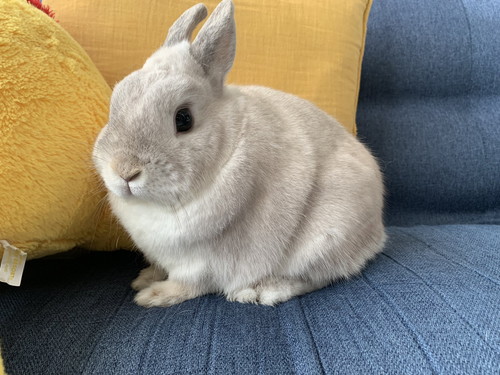 ミロくんの表情