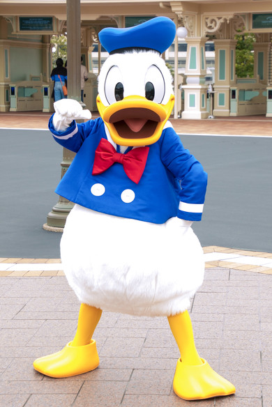 キャンプウッドチャック ドナルド