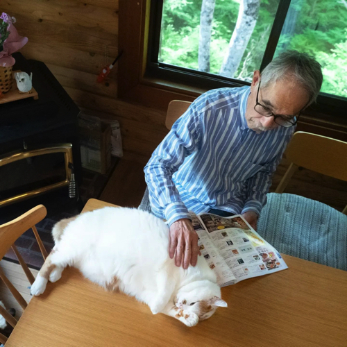 なでるお父さん