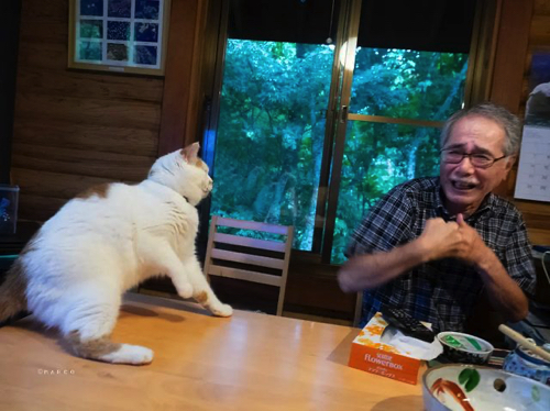 笑うお父さん
