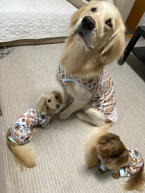 みんな上を見てる