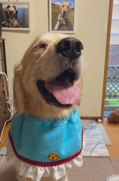 エプロンつけて笑顔