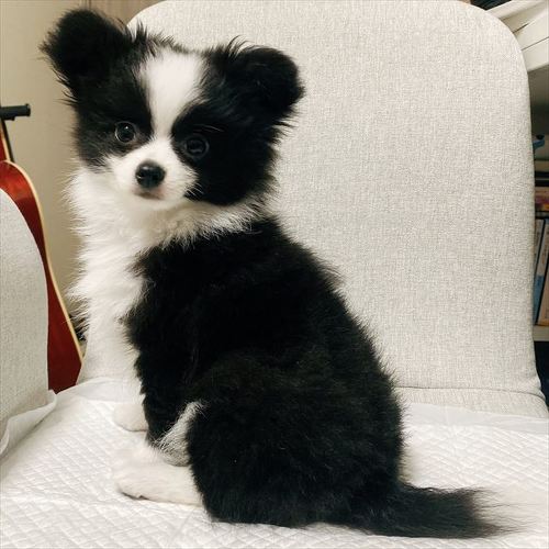 あるとくん全身