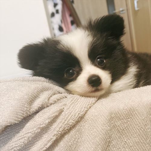 あるとくんアップ