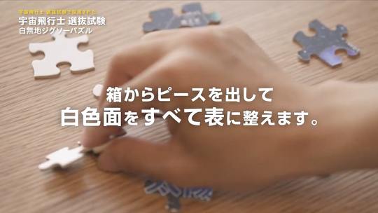 「白無地ジグソーパズル」