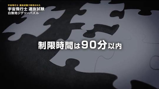 「白無地ジグソーパズル」