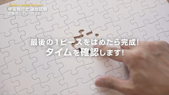 「白無地ジグソーパズル」