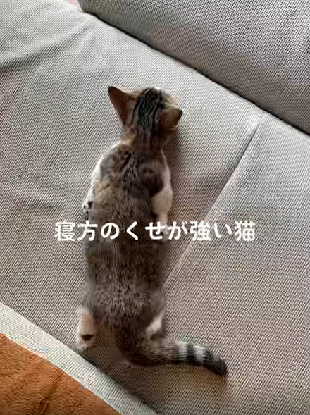 おすすめ