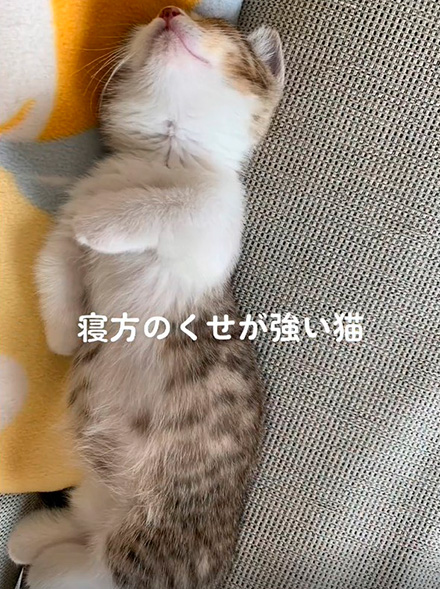 アイーンポーズ