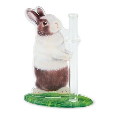 ダッチ チョコレート