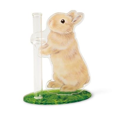 ネザーランド フォーン