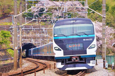 小田原の新作駅弁、湘南鶏 わっぱめし