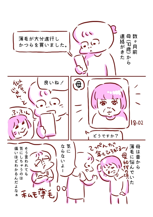 シニアファッション ウィッグ エイジング