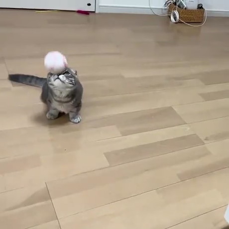 ボールが直撃した瞬間の表情