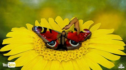 羽を広げた蝶かと思ったら……？　蝶から人間が出現する動画が認知機能をバグらせようとしてくる