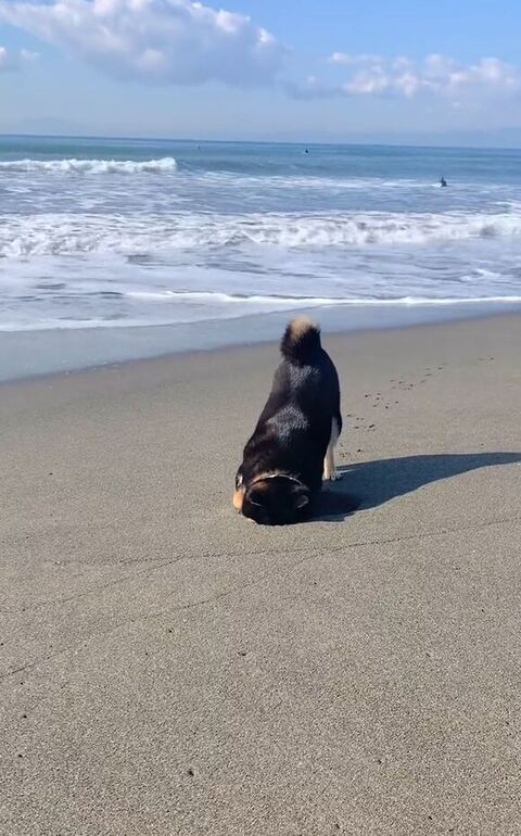 おすすめ
