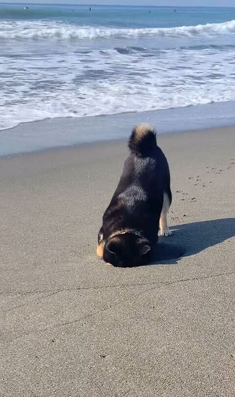 少し近づいたアングル