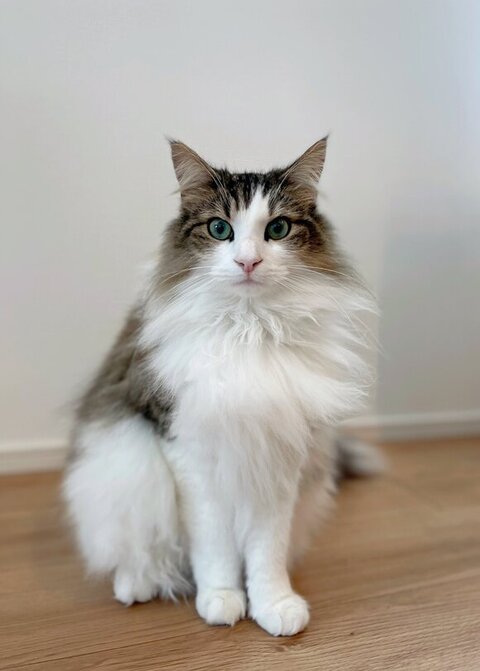 お座りしてる正面