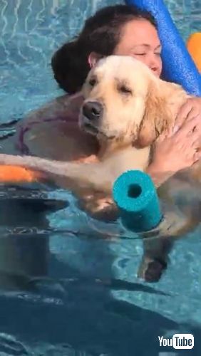 うれしそうな犬
