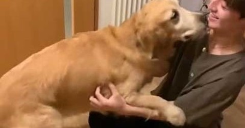 帰省したお兄ちゃんと5カ月ぶりに再会したワンコ、喜びが爆発して……　固い絆を感じるふたりの姿に「大好きが伝わる」と感動の声