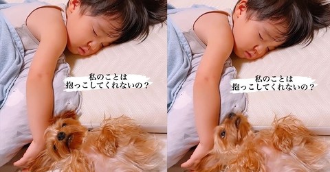 4歳の息子に抱っこされて寝たいワンコ、枕が邪魔で……　けなげな行動がかわいいと絶賛の声