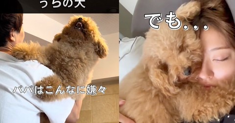 パパの抱っこは「ギャー!!!　やめろー!!!」なワンコ、ママには……　180度変わる態度に「温度差やべぇ」と爆笑