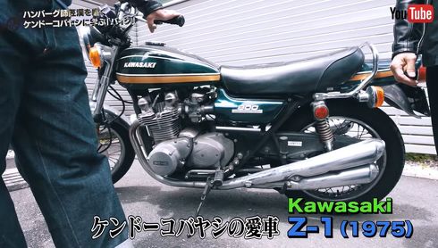 落ち着いた色味の青玉虫カラー