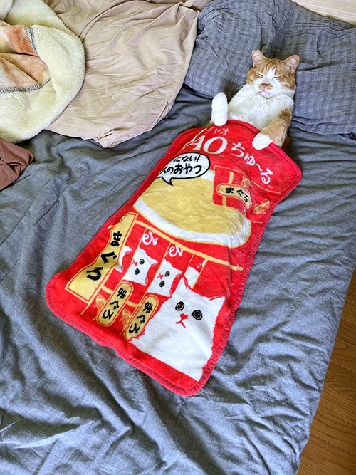 ちゅーるブランケット
