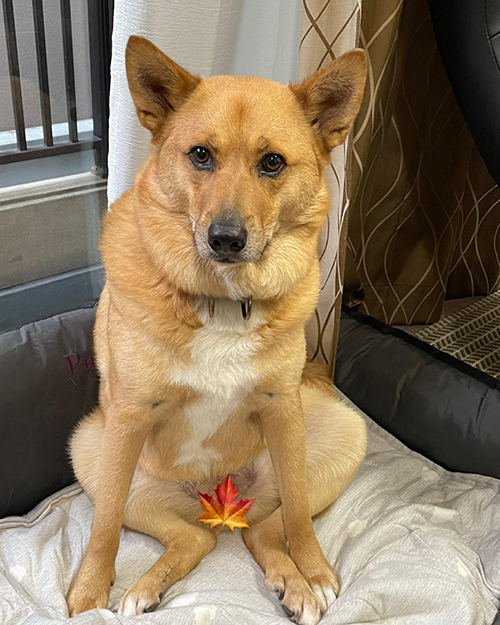 座るむぎちゃん